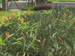 -广州绿地中央广场