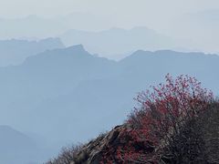 -白草畔自然风景区