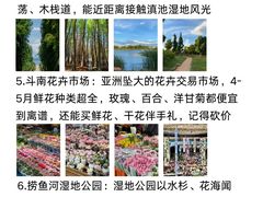 -南屏步行街