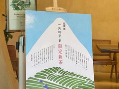 -白茶原·一片叶子