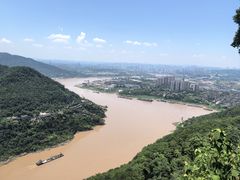 -铁山坪森林公园