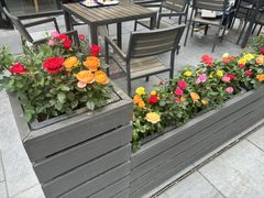 -汉堡王(北京三里屯购物中心)