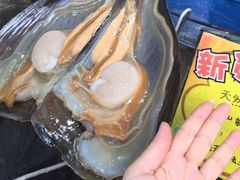 -蚝专家(北滘店)