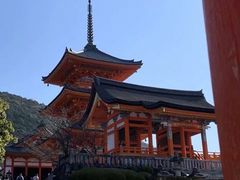 -有栖山 清光院 清水寺