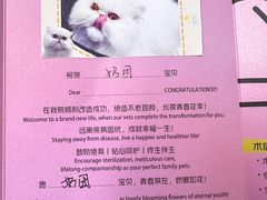 -美联众合动物医院·24h转诊中心