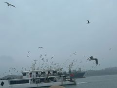 -海驴岛(荣成市)
