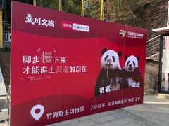 -栾川竹海野生动物园