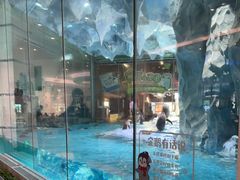 -帝企鹅自助餐厅•儿童岛•真企鹅(长隆企鹅酒店)