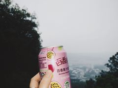 -火炉山森林公园