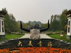 -武清南湖绿博园