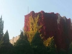 -辽宁大学(崇山校区)