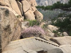-崂山仰口游览区