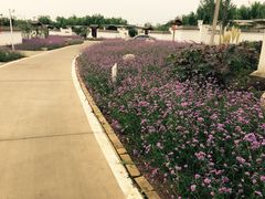 -海底捞火锅(高科广场店)