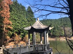 -四明山国家森林公园