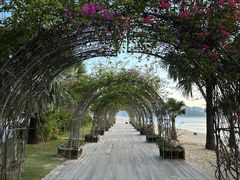 -大梅沙海滨公园