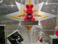 -ROSEONLY诺誓(广州K11店)