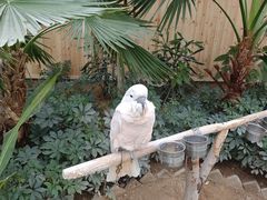 -南宫五洲植物乐园