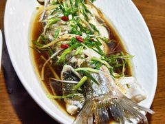 -小小饭店·休闲农庄·安吉松树林里的农家菜