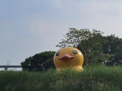 -动邦皮划艇·桨板·独木舟·团建户外运动俱乐部