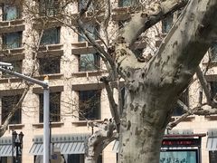 -行者书屋大堂吧 ·下午茶(南京圣和府邸酒店)