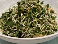 鲜核桃拌萝卜缨-申粤轩酒楼·三十年粤菜经典(丁香花园店)
