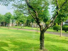 -太阳岛度假酒店