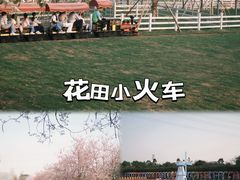 -盈香心动乐园