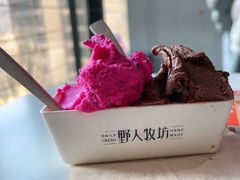 -野人牧坊Gelato(天津南开大悦城店)