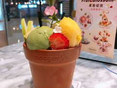 -哈根达斯(城西银泰店)