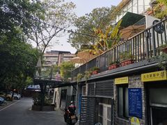 -南山植物园