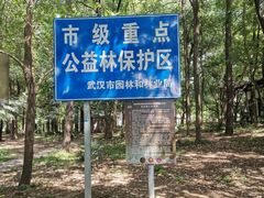 -东湖落雁景区