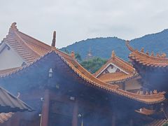 -深圳仙湖植物园