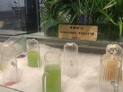 -金滏山·烤肉海鲜火锅自助(襄阳万达店)