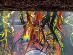 -沈阳海洋探索中心