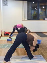 -兴亚瑜伽20年老馆