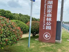 -合肥滨湖国家森林公园