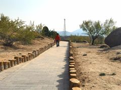 -白水寺森林公园