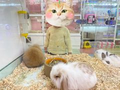 -万达广场(大明宫店)