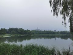 -北坞公园