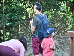 -吉隆坡雀鸟公园