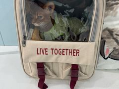 -纳吉亚猫专科动物诊疗中心(蒋宅口分院)