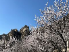-北京凤凰岭