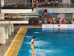 -重庆市奥林匹克体育中心-游泳跳水馆