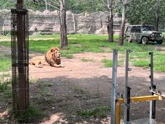 -秦皇岛野生动物园
