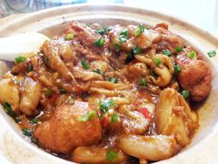 茄子煲-和乐喜宴海鲜酒家(骏荣广场店)