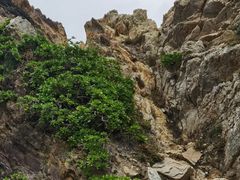 -西涌国际滨海旅游区