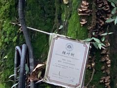 -桐君山春江扬帆码头