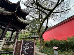 -峨眉山报国寺