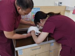 -美联众合动物医院·24h京西诊疗中心