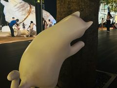 -馔豚·台北菜专门店(深圳湾万象城店)